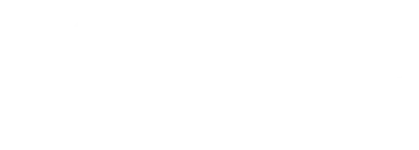 Lung Bioengineering Inc.